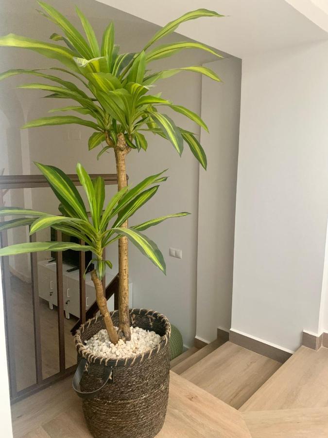 Puerta De Caceres Apartamento 2 Εξωτερικό φωτογραφία