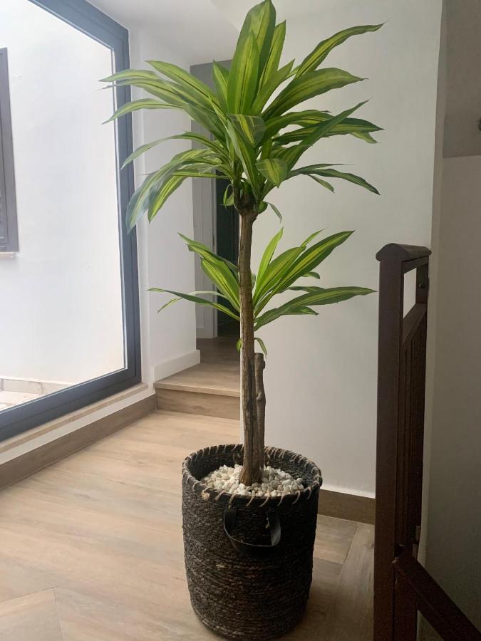 Puerta De Caceres Apartamento 2 Εξωτερικό φωτογραφία